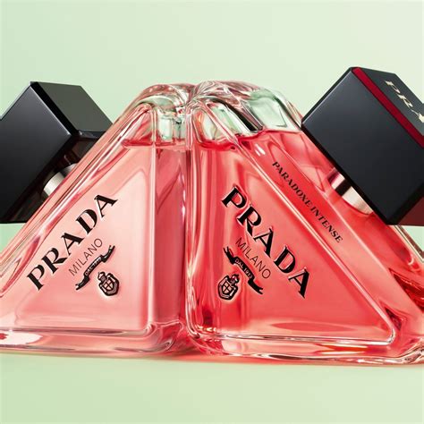 prada paradoxe intense notino|prada paradoxe intense perfume.